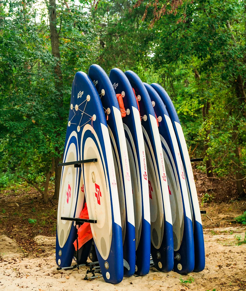 paddleboards
